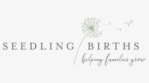 Seedling Births Midwifery Services - Eataly, HD Png Download, Transparent PNG
