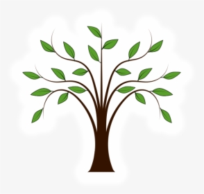 Tree With Leaf Clipart, HD Png Download, Transparent PNG