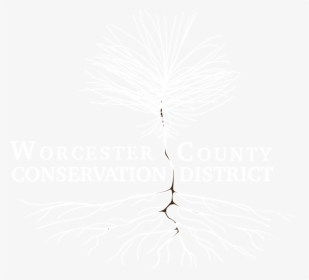 Worcester County Conservation District - Illustration, HD Png Download, Transparent PNG