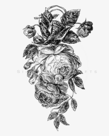 Vintage Flower Png Black And White - Roses Black And White Png, Transparent Png, Transparent PNG