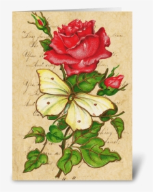 Vintage Rose & Butterfly Greeting Card - Hybrid Tea Rose, HD Png Download, Transparent PNG