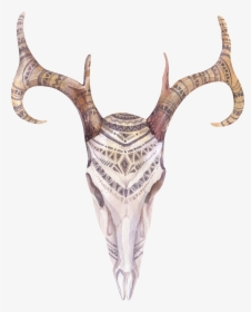 Banner Free Library Boho Chic Watercolor Painting Skull - Bohemian Deer Skull Print, HD Png Download, Transparent PNG