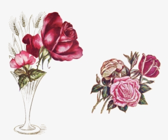 Vintage, Roses, Rose Flower, Vase, Flower Vase, Grasses - Vase, HD Png Download, Transparent PNG