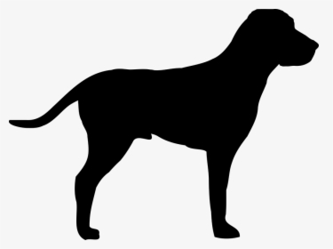 Pointer, Dog, Doggy, Outline, Animal, Coat, Shape - Transparent Dogs Black Shape, HD Png Download, Transparent PNG