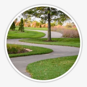 Grass, HD Png Download, Transparent PNG