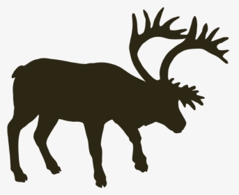 Transparent Moose Antlers Png - Silhouette Musk Ox, Png Download, Transparent PNG