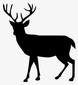 Reindeer Moose Silhouette Illustration - Deer Silhouette Png Free, Transparent Png, Transparent PNG