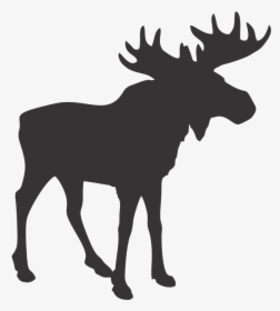 Picture Transparent Stock Blue Trading Company - Moose Silhouette Free, HD Png Download, Transparent PNG