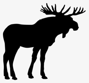 Moose Shape - Moose Icon Png, Transparent Png, Transparent PNG