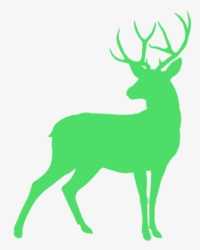 Deer Silhouette Png, Transparent Png, Transparent PNG