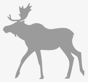 Moose To Trace, HD Png Download, Transparent PNG