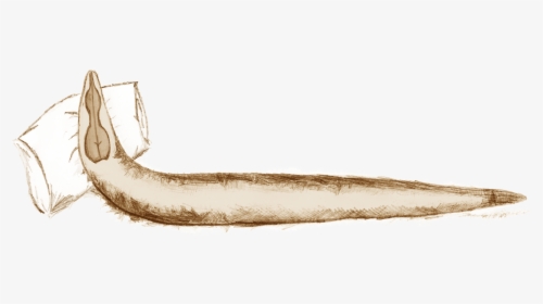 Tired Worm, HD Png Download, Transparent PNG
