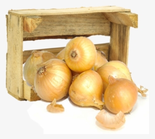 Yellow Onion, HD Png Download, Transparent PNG