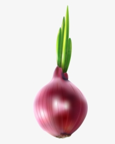 Clipart Vegetables Onion - Red Onion Clipart, HD Png Download, Transparent PNG