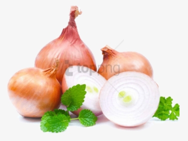 Free Png Download Onion Change Eye Color Png Images - Onion Change Eye Color, Transparent Png, Transparent PNG