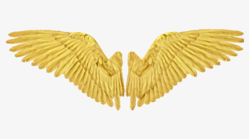 #gold #wing #wings #angel #angelwings - Drawing, HD Png Download, Transparent PNG