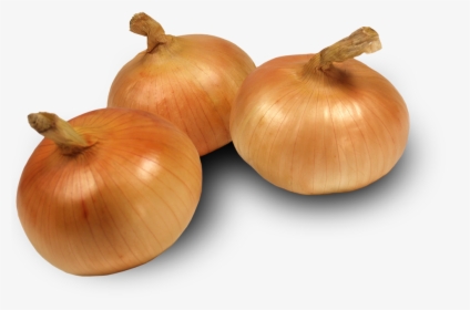 Transparent Onion Plant Png - Sweet Onion Transparent, Png Download, Transparent PNG