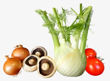 Vegetables, Onions, Fennel, Tomato, Mushroom, Cooking - Food To Eat When On Your Period, HD Png Download, Transparent PNG