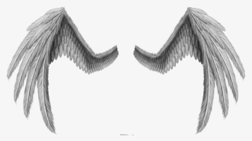 Angel Wings Side Profile Set Of 4 Gold Dresden Wings - Wings For Photoshop Png, Transparent Png, Transparent PNG