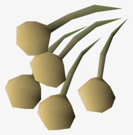 Onion Seed Osrs, HD Png Download, Transparent PNG