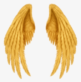 #wings #alas #gold #golden #doradas #oro #gods #dioses - Realistic Angel Wings Drawing, HD Png Download, Transparent PNG
