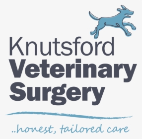 Veterinary Practice News, HD Png Download, Transparent PNG