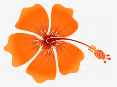 Png Hibiscus Flowers Patterns - Hawaiian Flower Png, Transparent Png, Transparent PNG