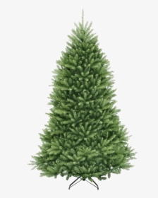 Fir Tree Png Pic - Christmas Tree, Transparent Png, Transparent PNG