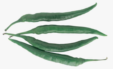 Bell Pepper , Png Download - Bird's Eye Chili, Transparent Png, Transparent PNG