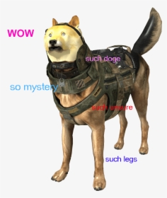 roblox doge head png