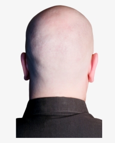 Back Of Head Png - Back Of Bald Head Transparent, Png Download, Transparent PNG