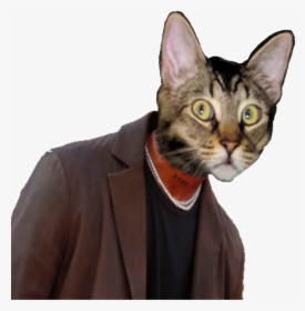 Oldmanjankans - Domestic Short-haired Cat, HD Png Download, Transparent PNG