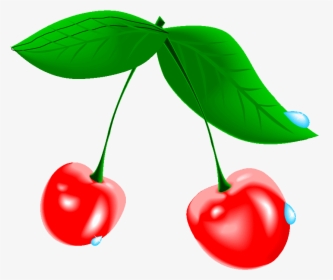 Cherry Tree Clipart At Free For Personal Transparent - Cherry Blossom Fruit Png, Png Download, Transparent PNG