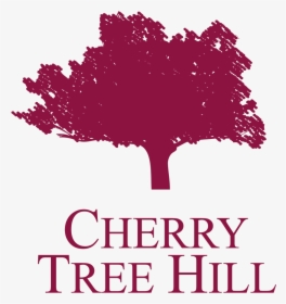 Cherry Tree Hill - Curry Tree, HD Png Download, Transparent PNG