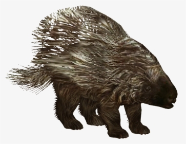 American Porcupine - Zoo Tycoon 2 Porcupine, HD Png Download, Transparent PNG