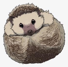 Hedgehog Sticker - Hedgehog Drawing Transparent, HD Png Download, Transparent PNG