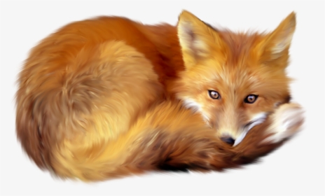 Red Fox Clip Art - Fox Png, Transparent Png, Transparent PNG