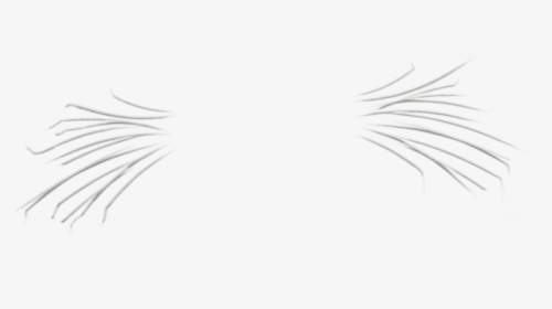 cat whiskers png