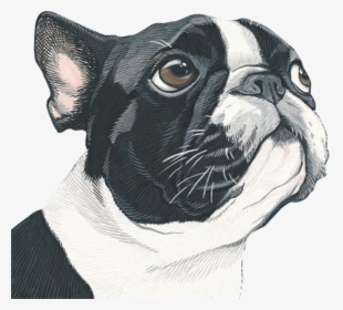 Portrait Art Painting Dog Illustration Free Download - Artby Manda, HD Png Download, Transparent PNG
