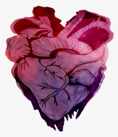Heart, Png Watercolor - Watercolor Heart Transparent, Png Download, Transparent PNG