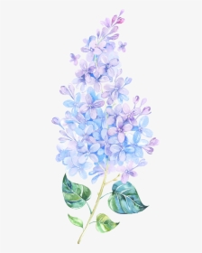 Picture Freeuse Library Flower Lilac Painting Purple - Tattoo Watercolor Lilac, HD Png Download, Transparent PNG