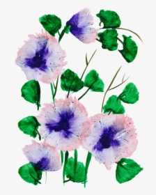 Morning Glory, HD Png Download, Transparent PNG