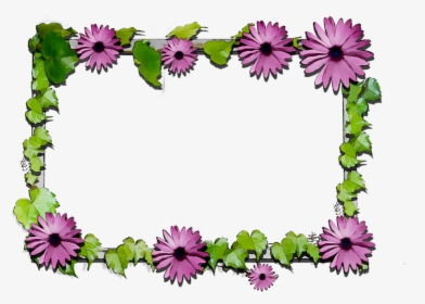 Floral Chrysanthemum Flowers Cut Design Png Download - African Daisy, Transparent Png, Transparent PNG