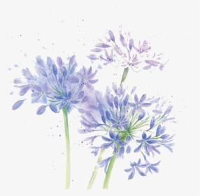 Blue Cut Watercolor Chrysanthemum Design Floral Flowers - Watercolor Transparent Flower Purple, HD Png Download, Transparent PNG