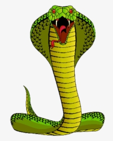 Transparent Mongoose Clipart - Cobra Snake Cartoon Funny, HD Png Download, Transparent PNG