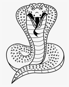 Cobra Naja Desenho - Cobra Snake Clipart Black And White, HD Png Download, Transparent PNG