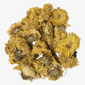 Chrysanthemum Png, Transparent Png, Transparent PNG