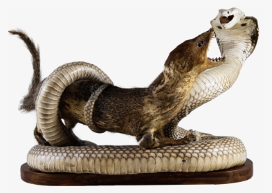 King Cobra And Mongoose Statue, HD Png Download, Transparent PNG