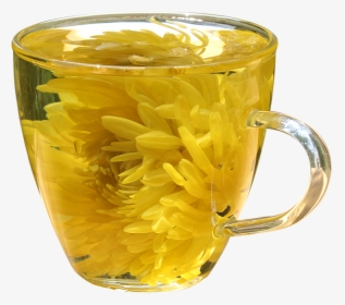 [花王]昭品 金丝皇菊 A Cup Of Flower King Chrysanthemum Tea - Forsythia, HD Png Download, Transparent PNG