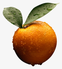 Orange Background - - Png V - 3 - 5 Backgrounds - Business Accounting By Frank Wood, Transparent Png, Transparent PNG